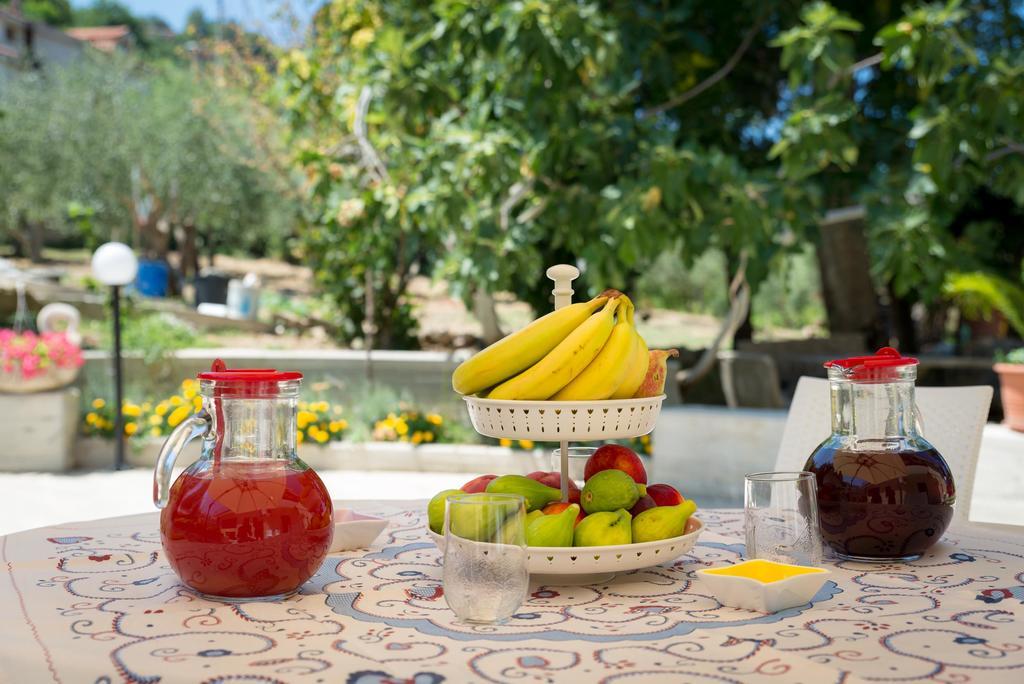 Casa Scinella - Cilento Guest House Олястро Чиленто Екстериор снимка